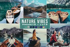 
Video Editing in Malappuram

