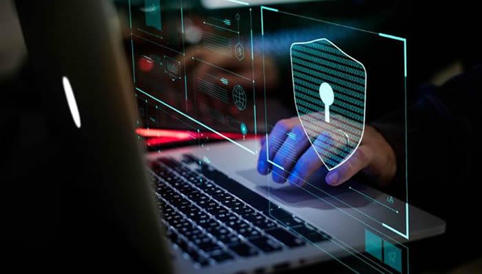 Expert Web Design in Malappuram